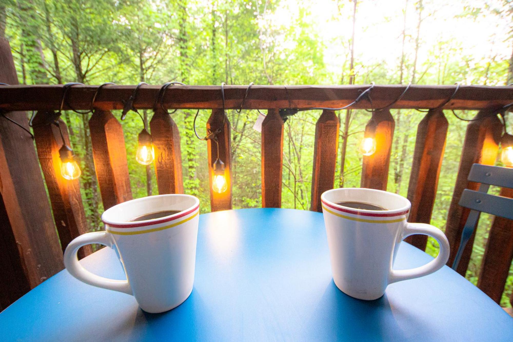 Love Me Tender Studio Cabin Sevierville Habitación foto